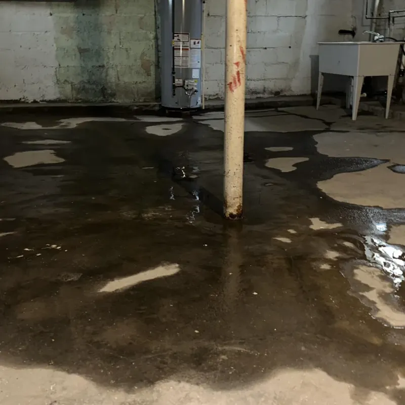 Emergency Water Extraction And Removal in Germantown, OH